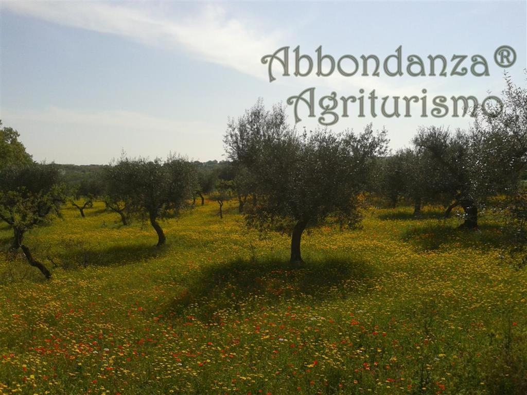 Вилла Agriturismo Abbondanza Альберобелло Экстерьер фото